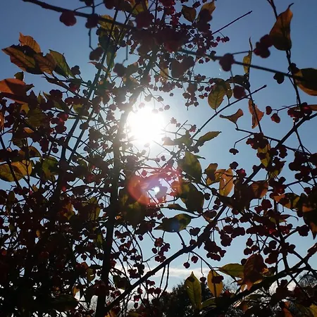 Brueckenblick *