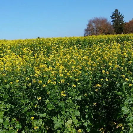 Brueckenblick سولينجين