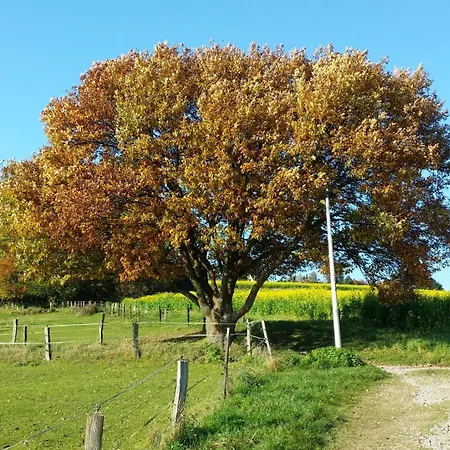 Brueckenblick شقة سولينجين
