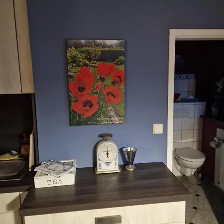 아파트 Brueckenblick 졸링겐