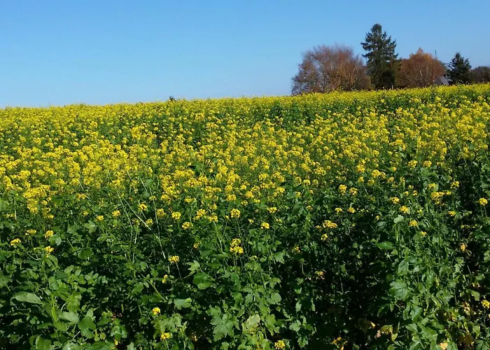Brueckenblick Solingen