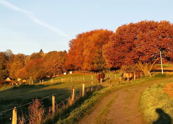 Daire Brueckenblick *