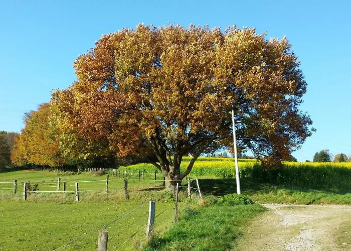 Brueckenblick Daire Solingen