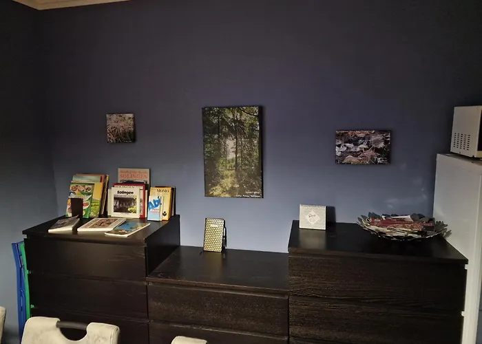 Brueckenblick Daire Solingen